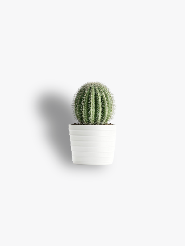 MiniCactus Ceramic Planter