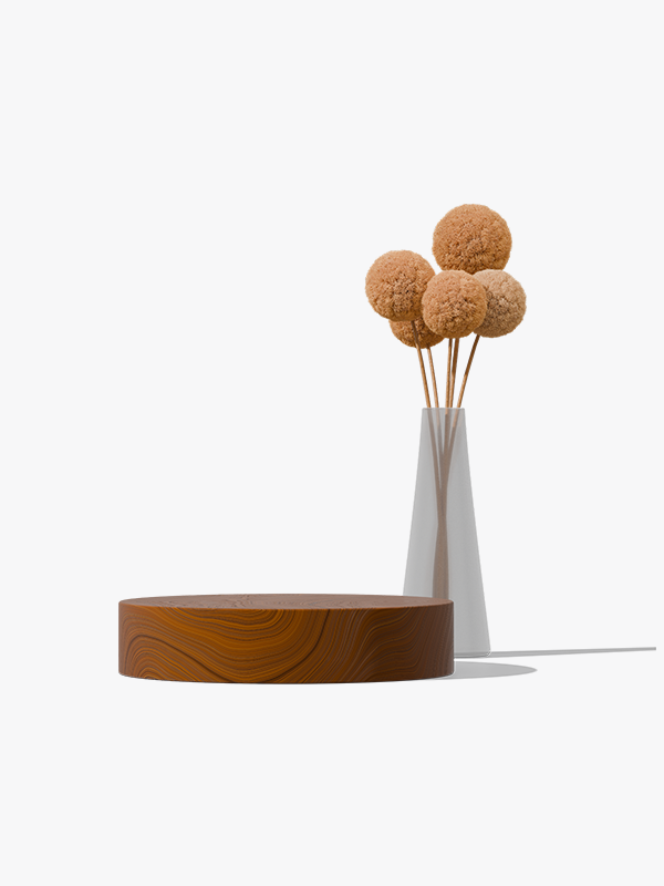 TerraBloom Decorative Display Set